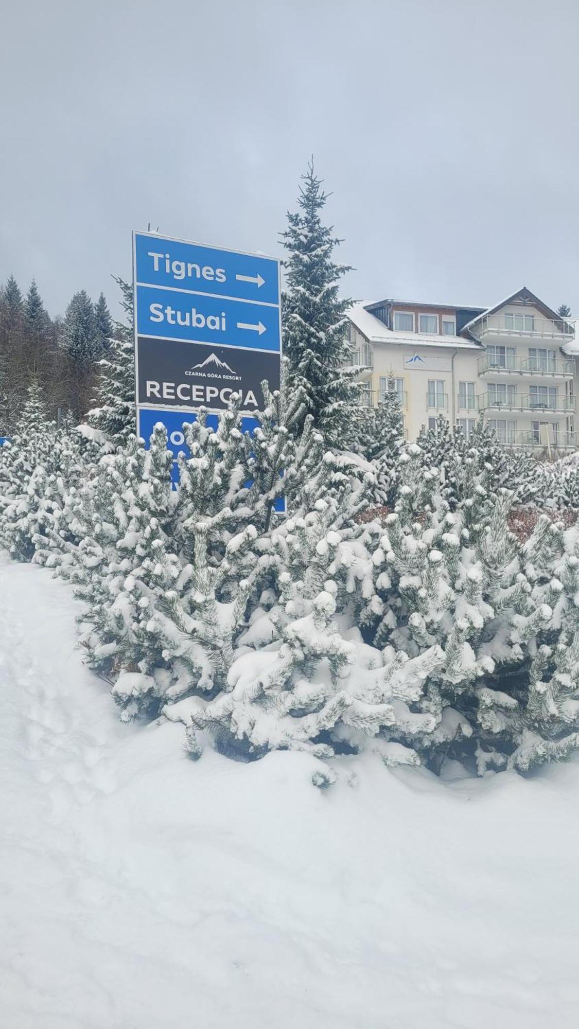 Apartment Stubai 3 Czarna Gora