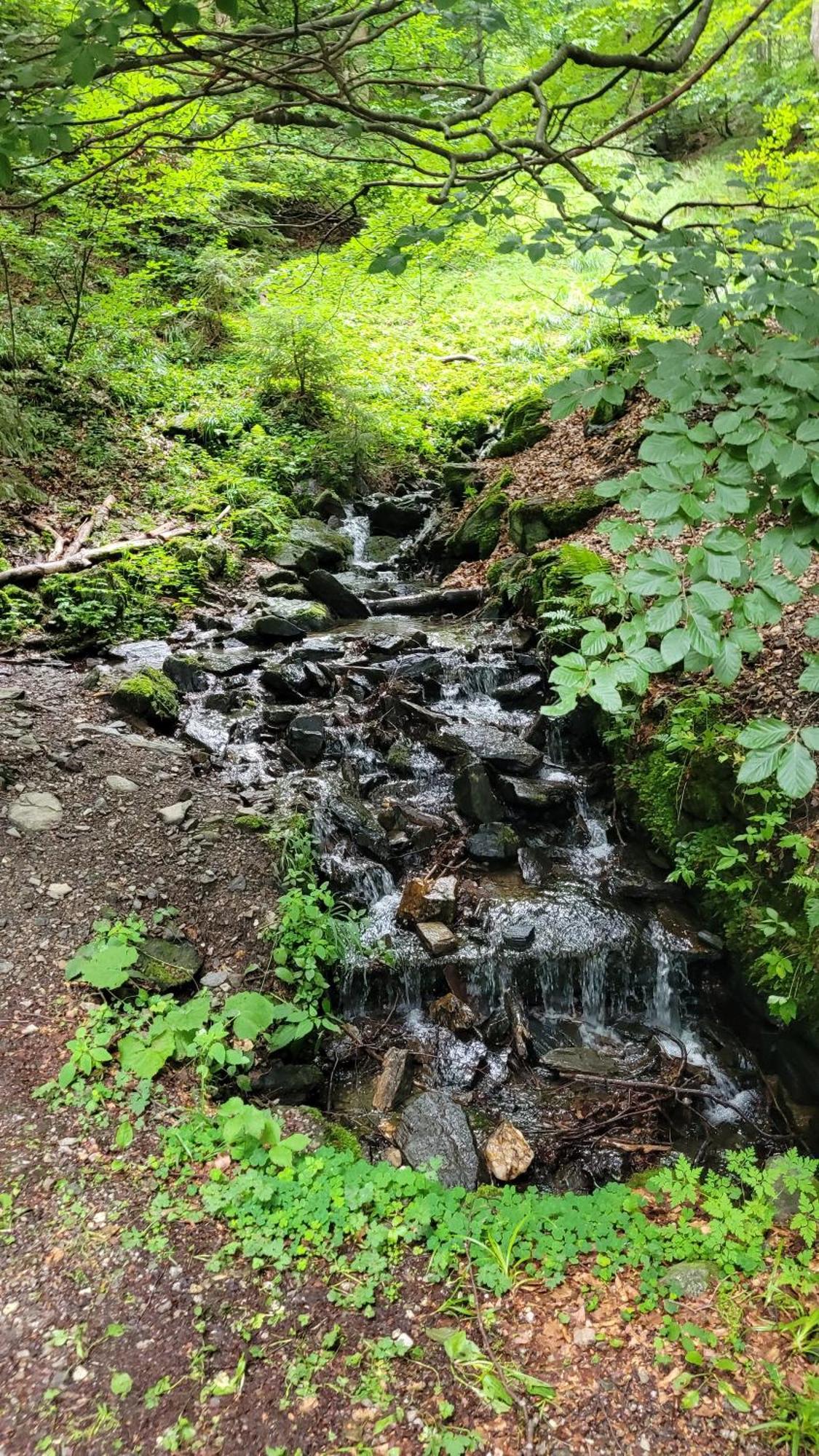 Stubai 3 Czarna Gora Sienna (Klodzko)